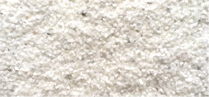 Snow White on a white coating